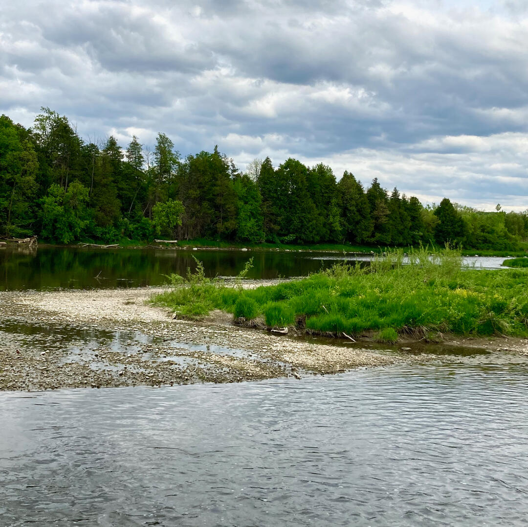 Willow River shoreline
